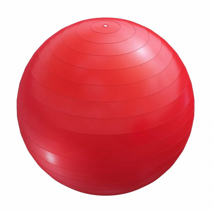 Fitnessbal Rood 55 cm incl. pomp