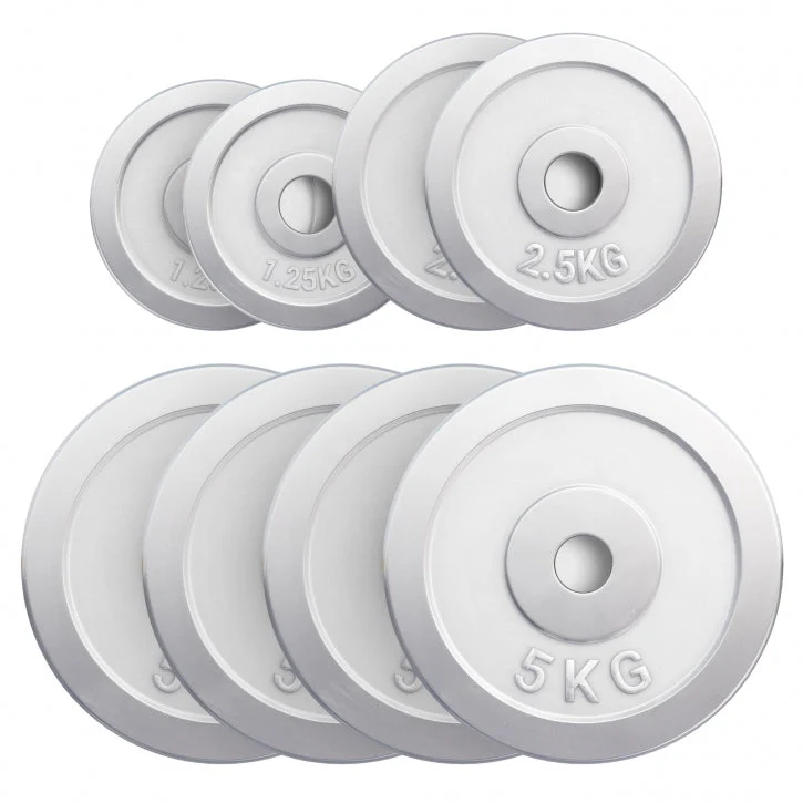 Halterschijven set 27,5 kg Chroom