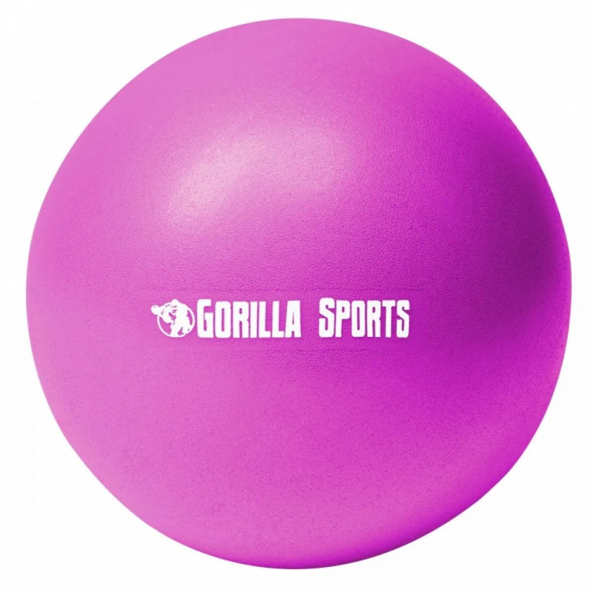 Mini Pilates Bal 28 cm Paars