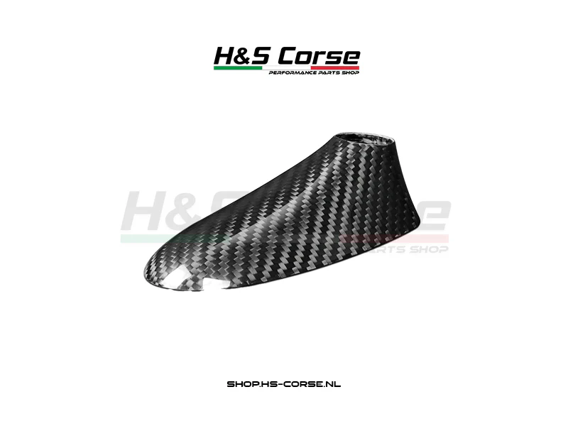 Abarth 500/595/695 – Carbon Antenne dak