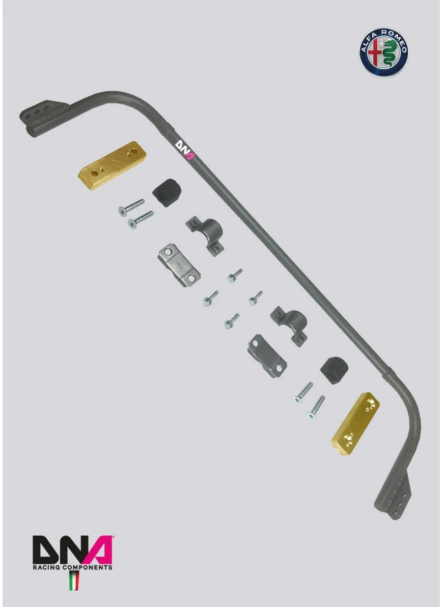 DNA Racing – Rear Adjustable Torstion Bar Kit