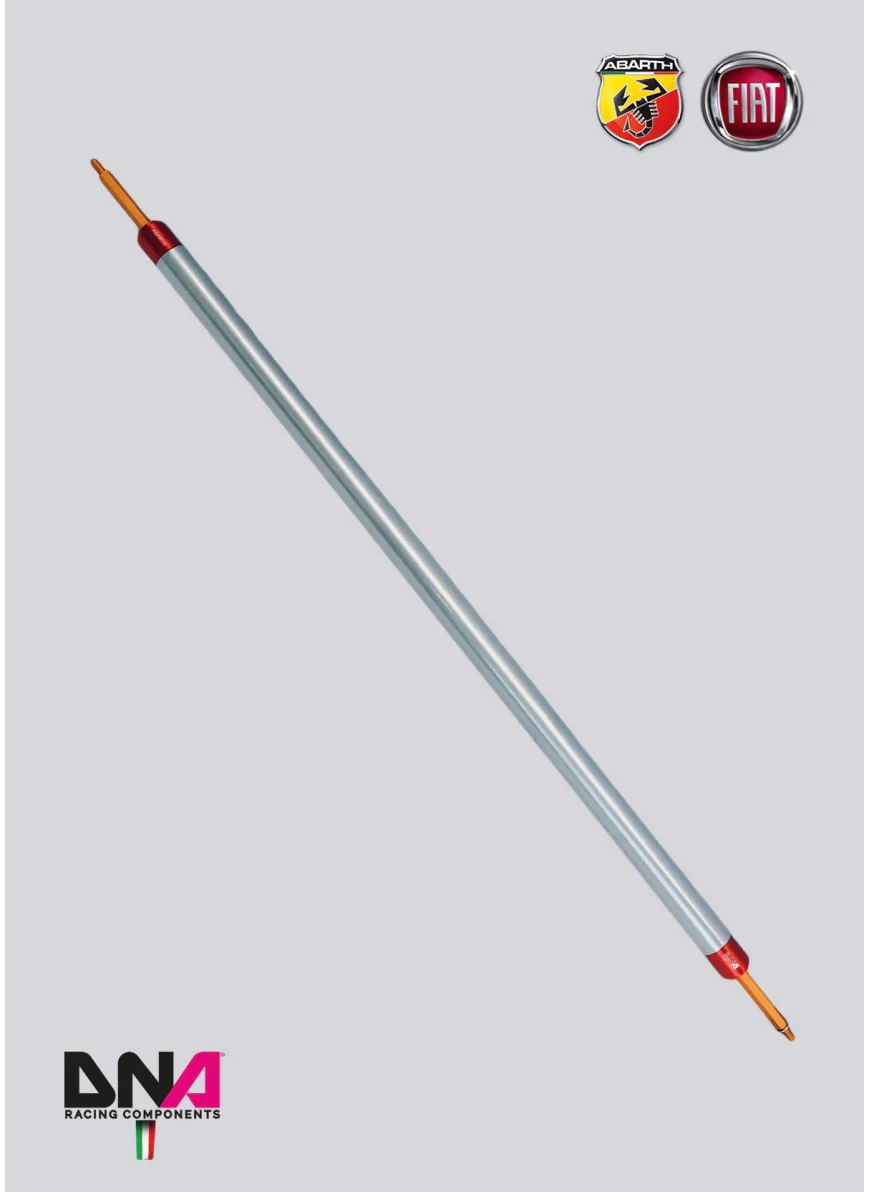 DNA Racing Four-seater Rear Strut Bar No Tie Rods Kit – Abarth 500/595/695