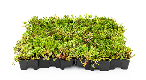 Mobilane MobiRoof ECO