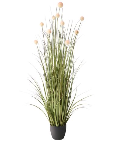 Kunstplant POMPOM GRASS 120 cm Groen
