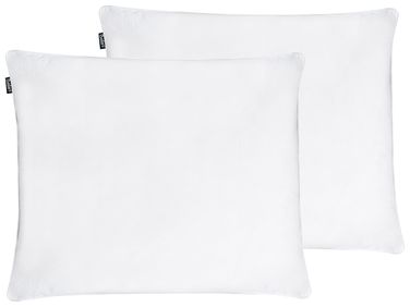 Lot de 2 oreillers FELDBERG Haut de plumes de canard 50 x 60 cm Blanc
