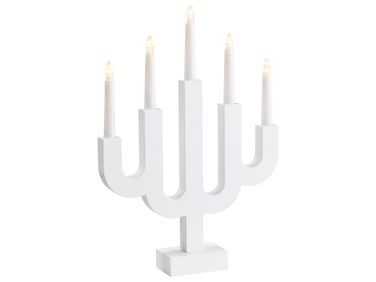 Kerstdecoratie BJORKAN LED Wit