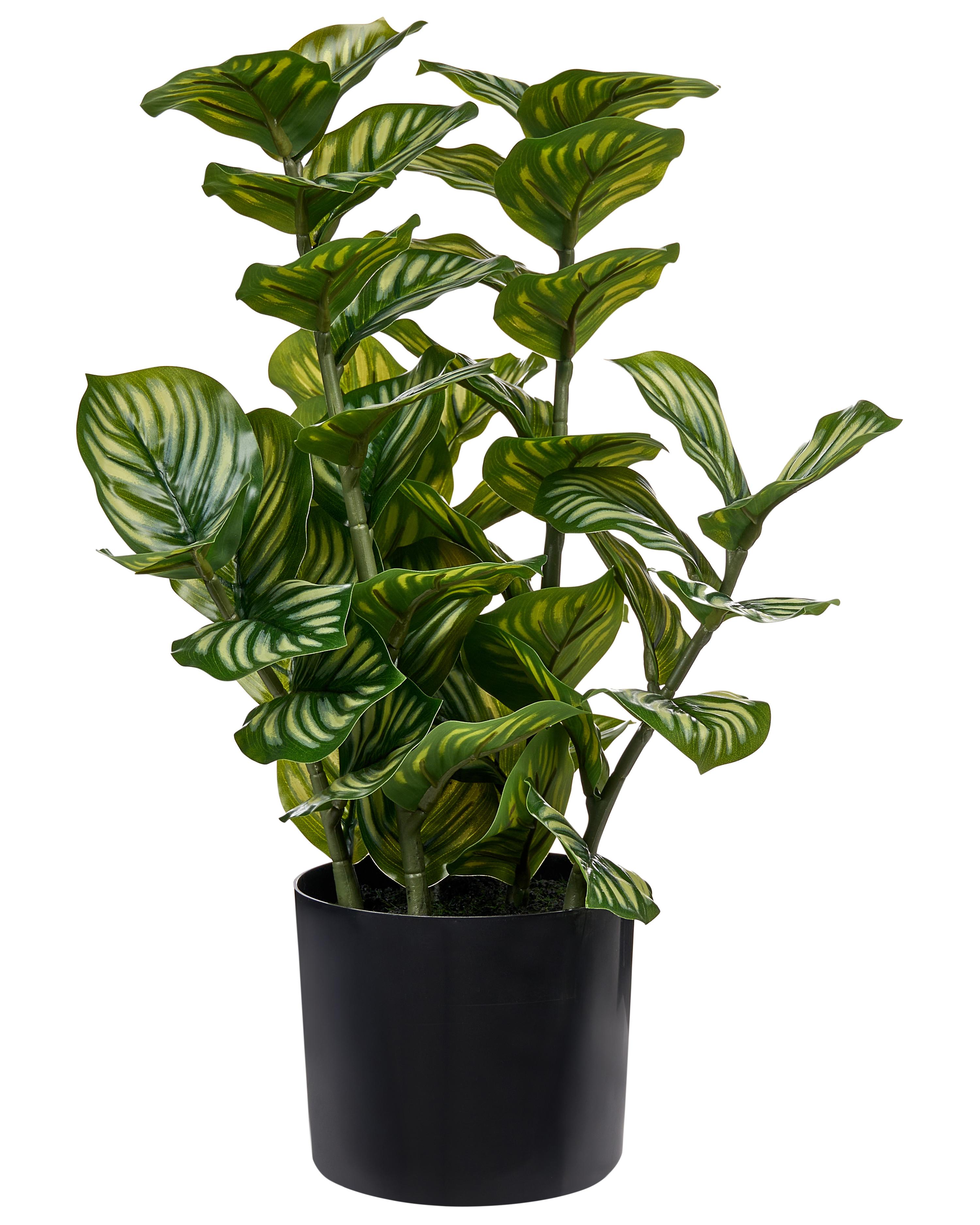 Plante artificielle ORBIFOLIA 50 cm Vert