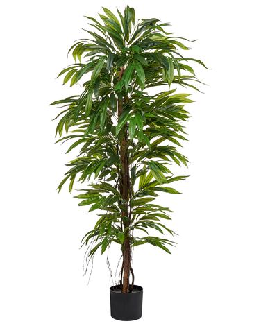 Kunstplant LONGIFOLIA 155 cm Groen