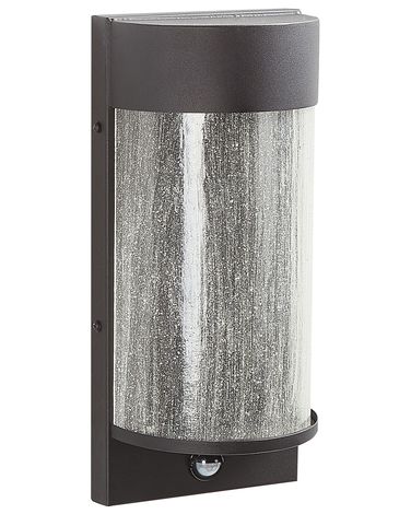 Outdoor LED Wall Light PHEPPIE with Motion Sensor Black