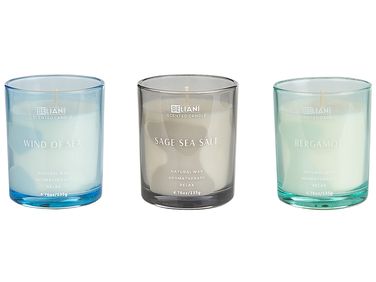Set van 3 geurkaarsen SHEER JOY Soja wax Frisse geurnoten