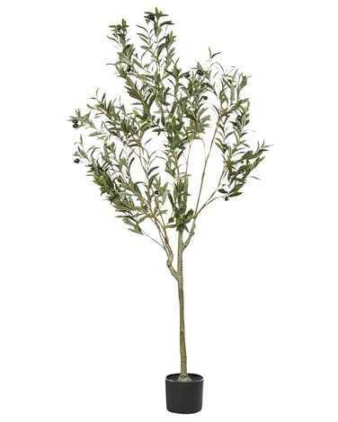 Plante artificielle OLIVE TREE 153 cm Vert