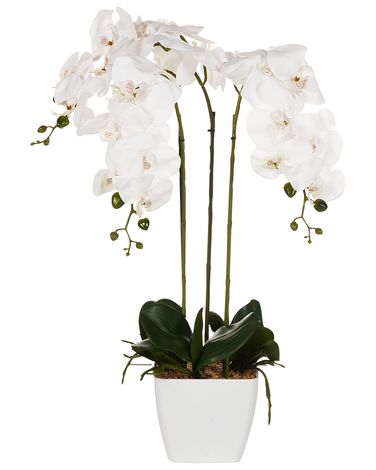 Plante artificielle ORCHID 59 cm Blanc