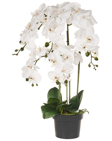 Plante artificielle ORCHID 65 cm Blanc