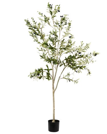 Kunstplant OLIVE TREE 178 cm Groen